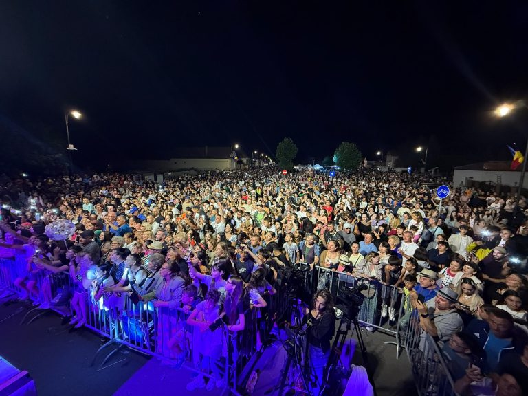 Mulțime de oameni la un concert organizat pe strada principală, noaptea