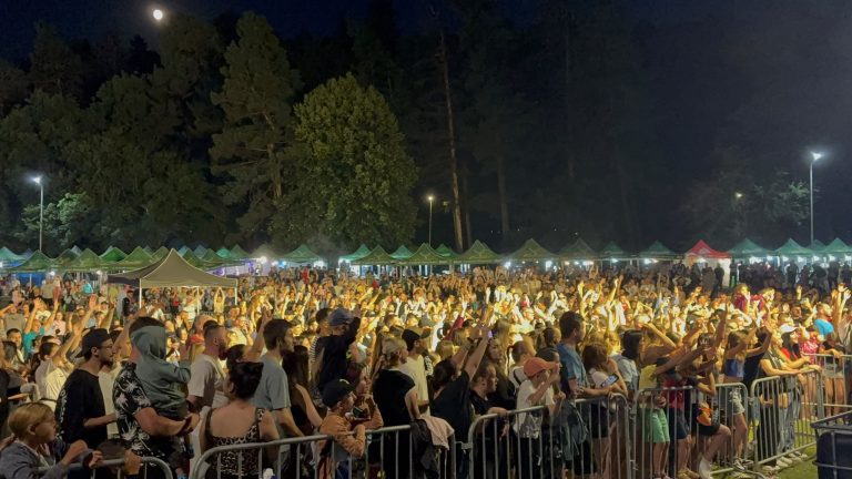 Public cu mâinile ridicate la un concert de seară