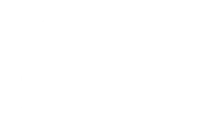 True Agency - organizare evenimente și impresariat artistic